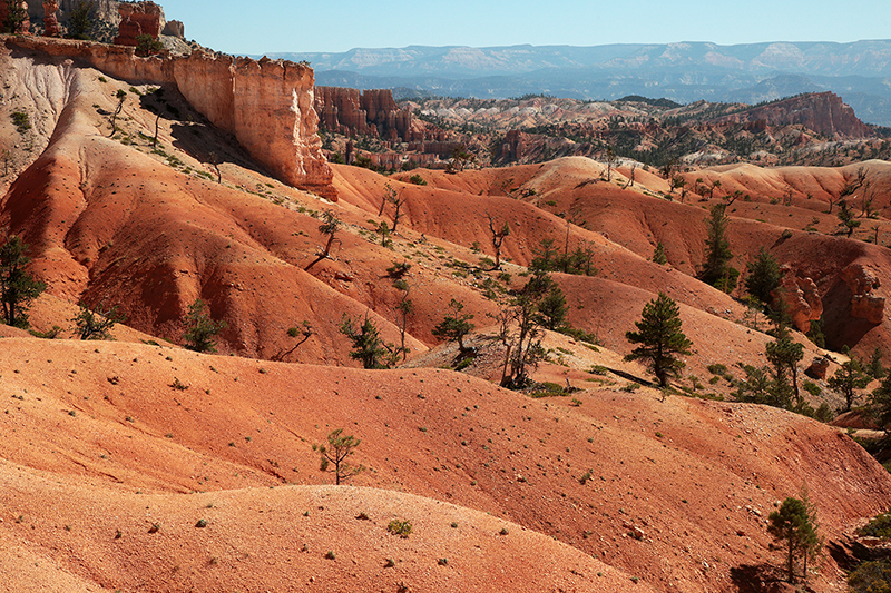 Bryce Canyon : Utah : Landscape Photos : Richard Moore : Photographer
